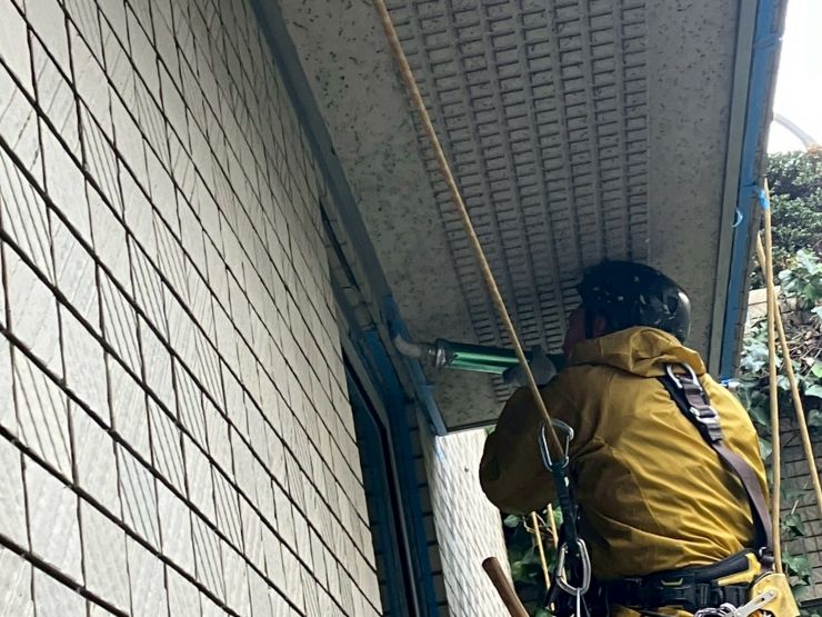 お知らせ記事画像